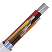 Image of CABS8/WH/100PD