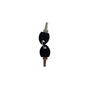 Morley-IAS ZXSe Series, Spare Key for ZX Control Panels (797-021)