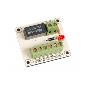 RGL RL01 Relay Standard Relay 12C DV