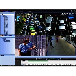 image of hnmnvrsw4