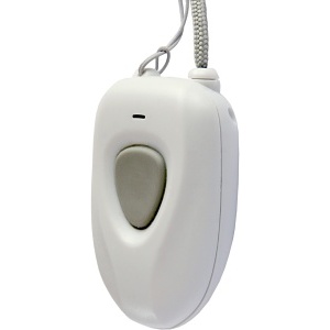 image of pen4l