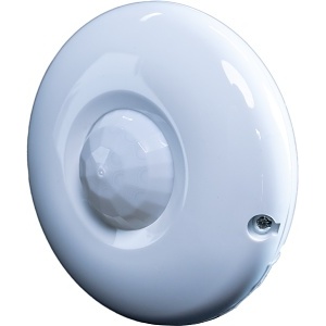 image of octopusdq
