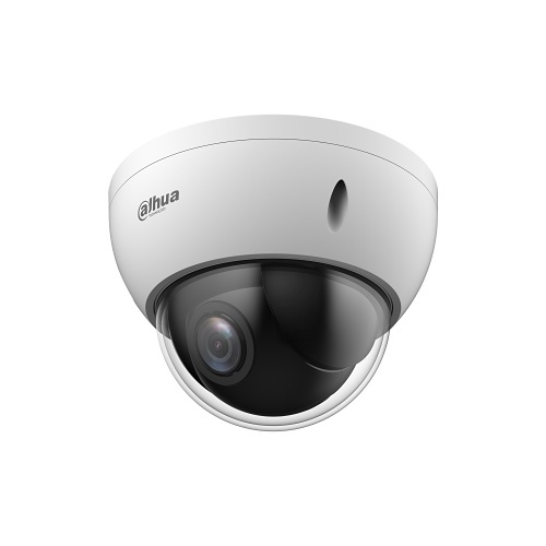 Image of SD22204DBGNY