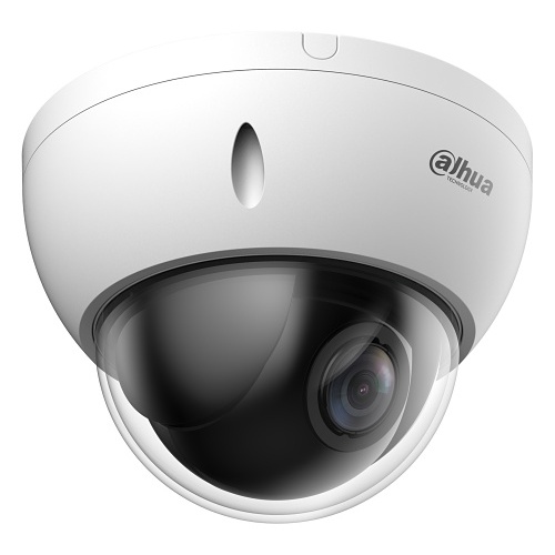 Image of SD22404DBGNY