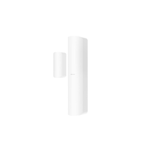 Image of 302402277