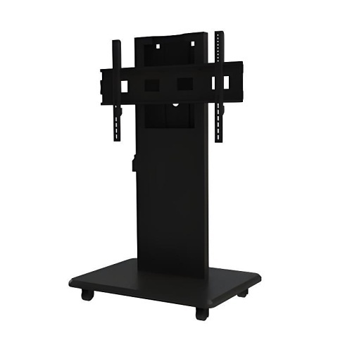 Image of PKC-MS1B
