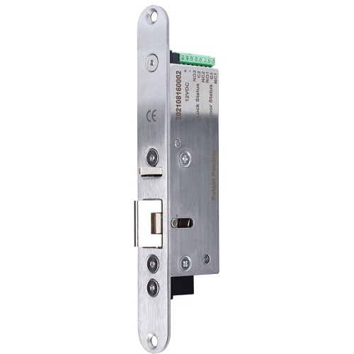 Image of ML-350M-PL-12/24