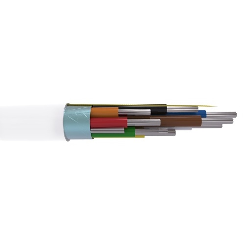 Image of CABCCAS8/WH/100M