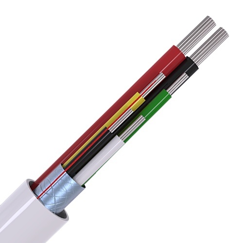 Image of CABS6/WH/100/PD