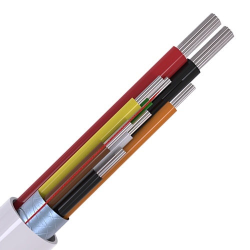 Image of CABS8/WH/100PD