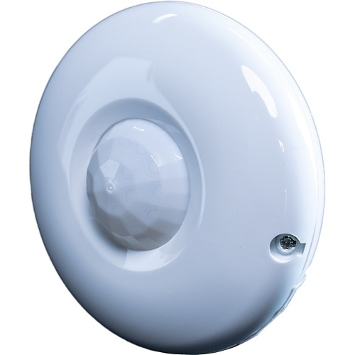 Image of OCTOPUSDQ