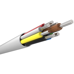 CQR 100 m Control Cable for Alarm - First End: Bare Wire - Second End: Bare Wire - LSF - 24 AWG - White